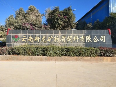 云南新龍礦物質(zhì)飼料有限公司安防監控系統建設